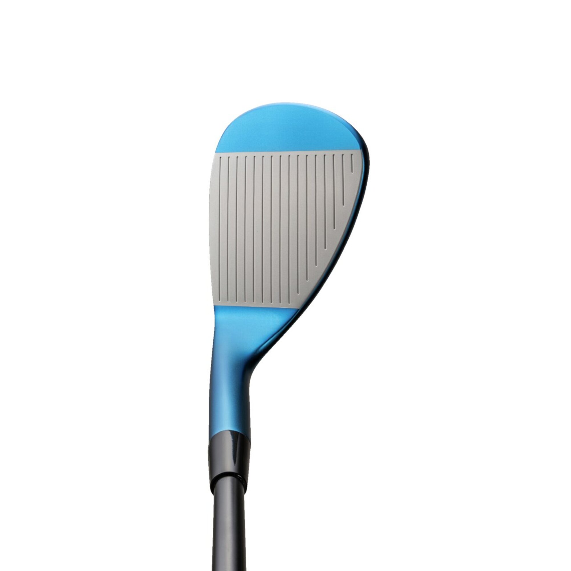 Mizuno Pro T-1 ウエッジ 2本組(ブルーIP仕上げ)(Dynamic Gold105 ONYX