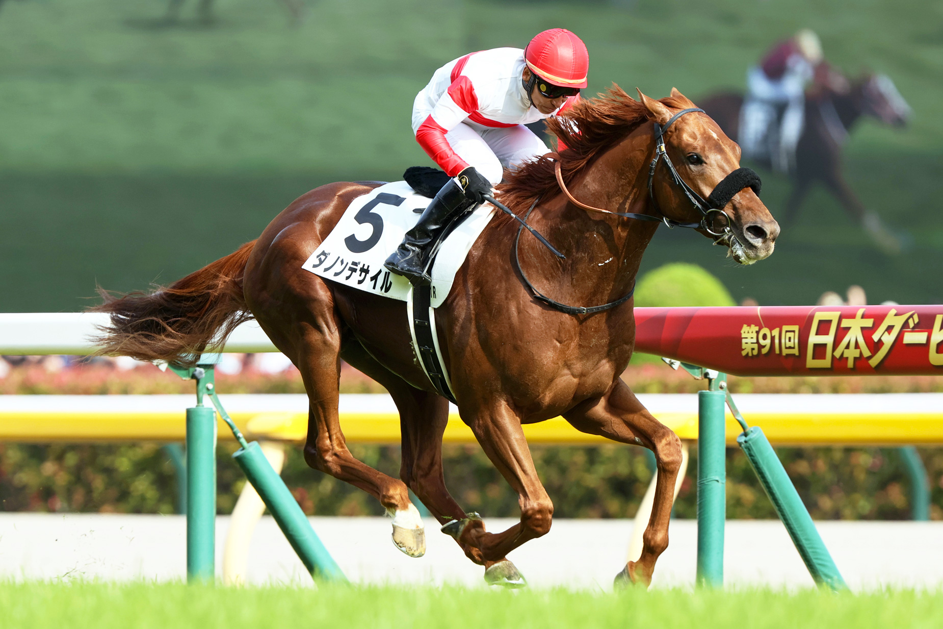 2024年 日本ダービー JRA