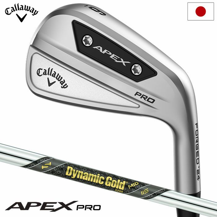 毎日発送】ミズノ Mizuno Pro 245 アイアン 6本セット(No.5～9、PW