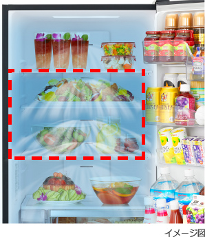 R-V32RV ： 冷蔵庫 ： 日立の家電品