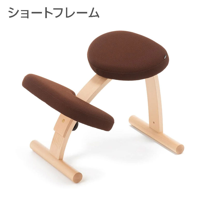 バランスラボ バランス イージー (ショートフレーム) ラクに姿勢が