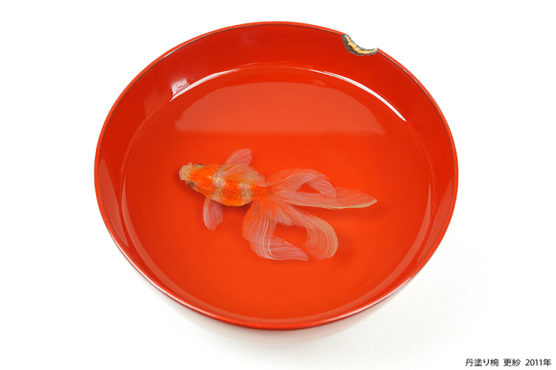 まるで生きているかのような金魚のアートを約300点展示 神戸