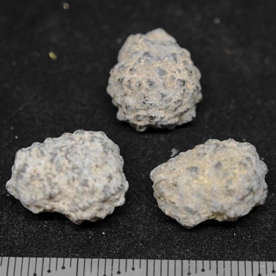 金平糖石（自然砒）（参考） 金平糖石（自然砒）（参考） 金平糖石