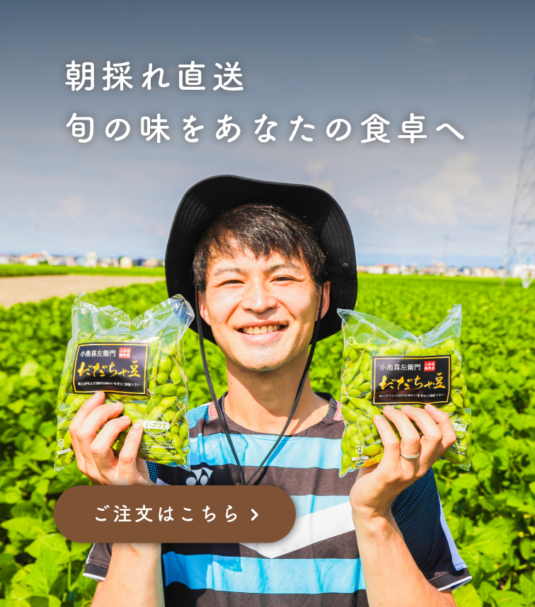だだちゃ豆通販｜山形県鶴岡市 だだちゃ喜左衛門（産地直送）