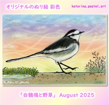 白鶺鴒と野草』 ぬり絵 鶺鴒その①: ことりの.パステルアート
