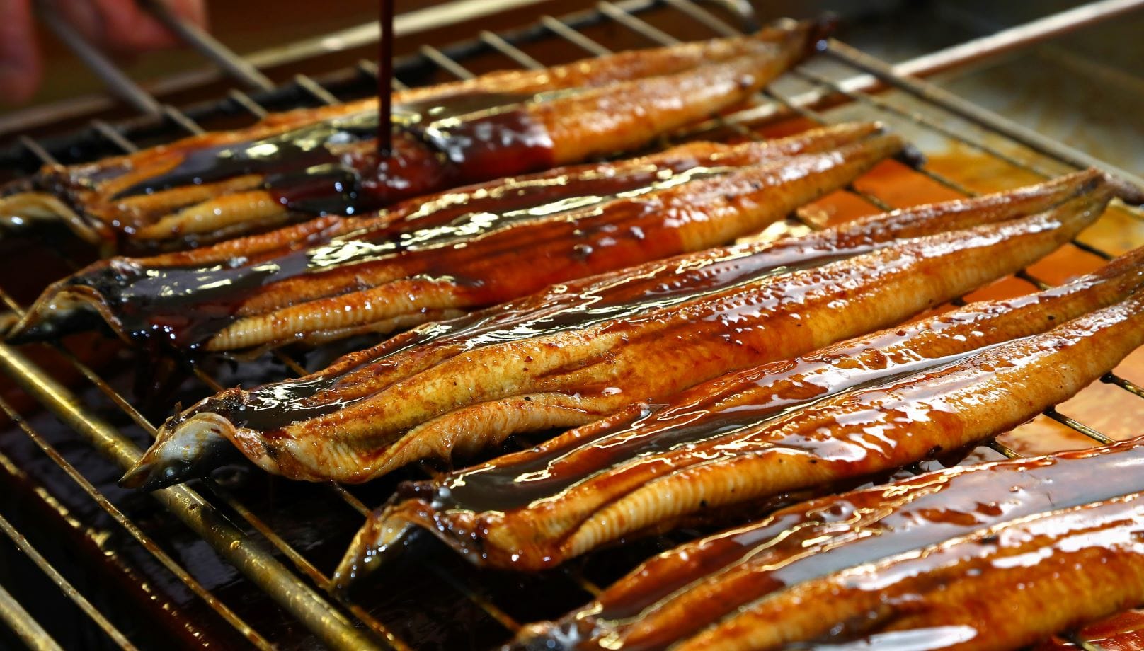 うなぎのモリカン | Lacycle mall（ラシクルモール）