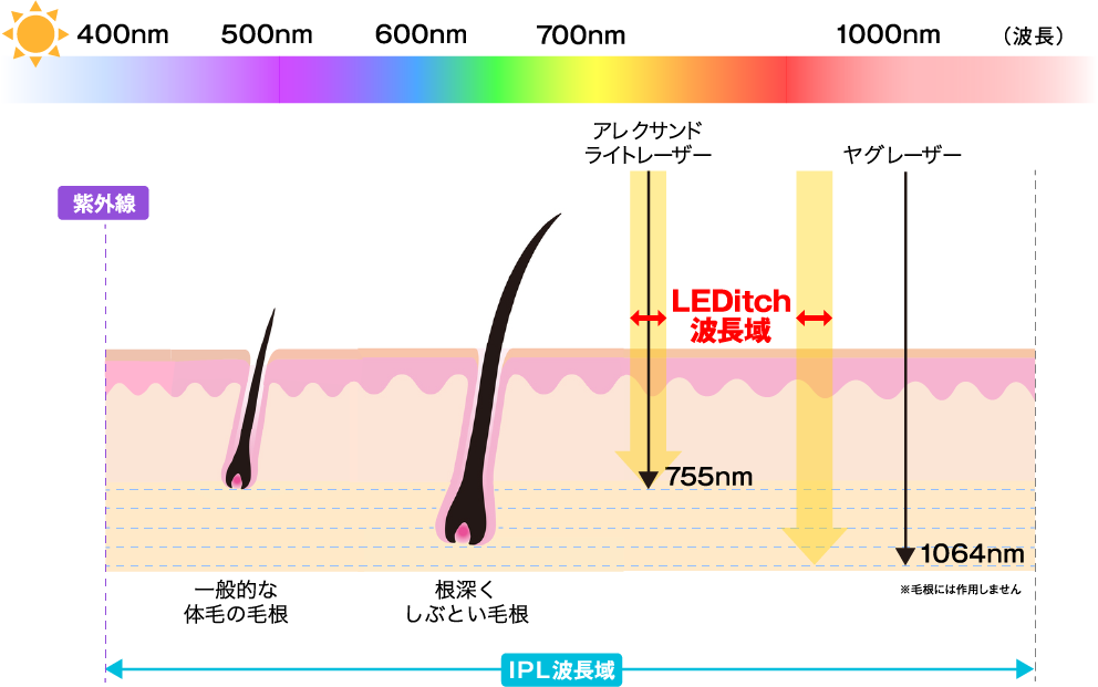 公式】家庭用LED美容器LEDitch（レディッチ）