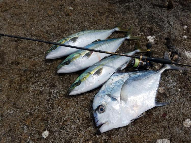 X-ARMATURA 烈煌（れっこう） - LEGAME