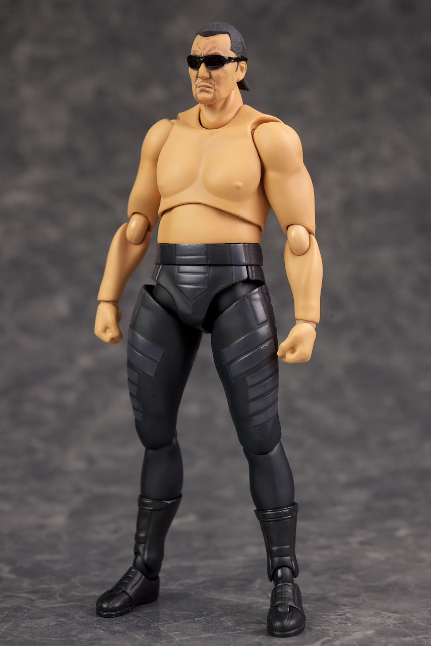 figma 蝶野正洋 レビュー : はっちゃか