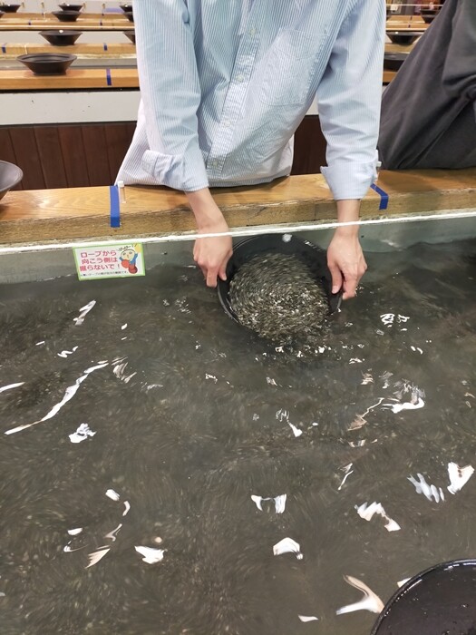 kk 【まとめ】砂金 15粒 山梨砂金採り体験×2 kk 【まとめ】砂金 15粒