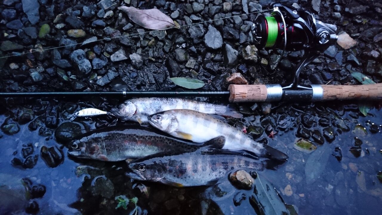 パックロッド】汎用性抜群のコンパクトロッド！ダイワ ファントムTR