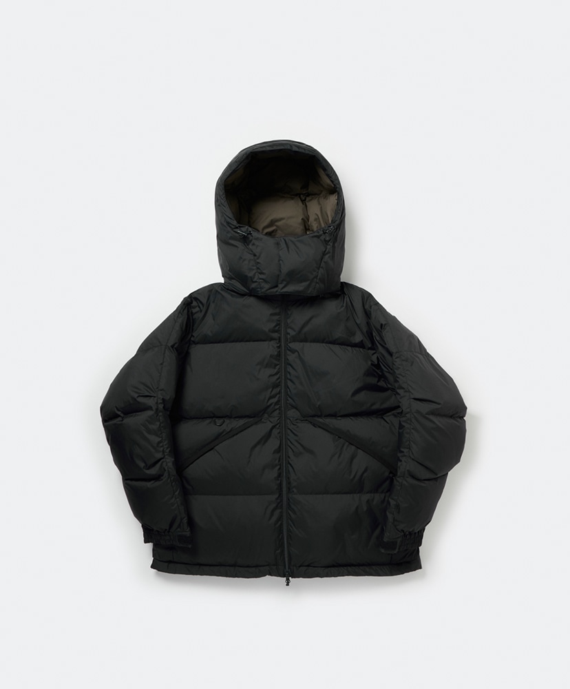 Tech Alpine Down Parka(L(MEN) Black/ブラック): DAIWA PIER39