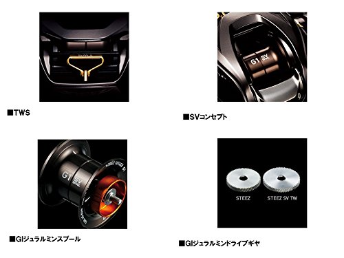 Amazon | ダイワ(DAIWA) ベイトリール 16 スティーズ SV TW 1016SV-HL