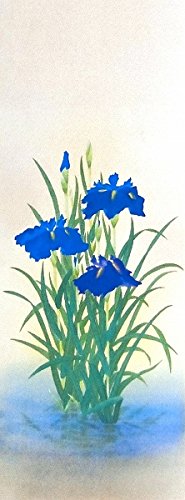 ☆太巻高級掛軸【菖蒲 あやめ】日本画家 田中基美◇紙本肉筆 共箱付
