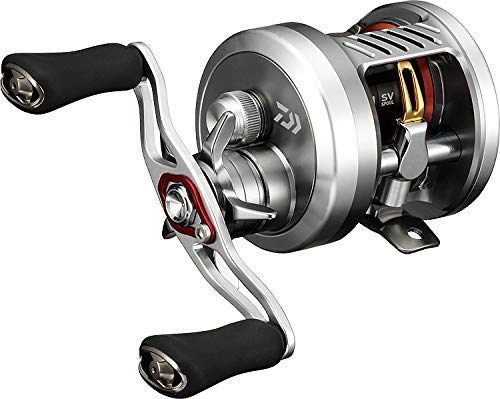 Amazon | ダイワ(DAIWA) 両軸リール 19 MILLIONAIRE CT SV 70HL(2019