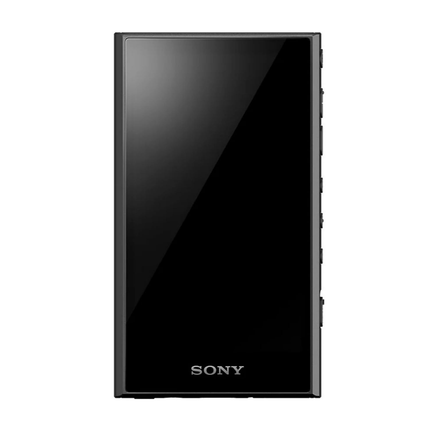 Amazon.com: Sony NW-A306 Walkman A Series High-Resolution Digital
