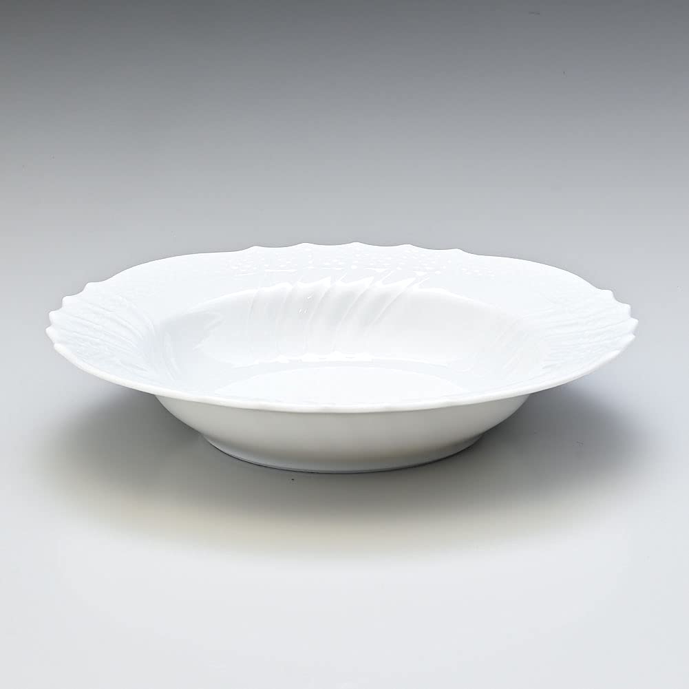 Amazon.co.jp: リチャードジノリ ジノリ1735 ベッキオホワイト スープ