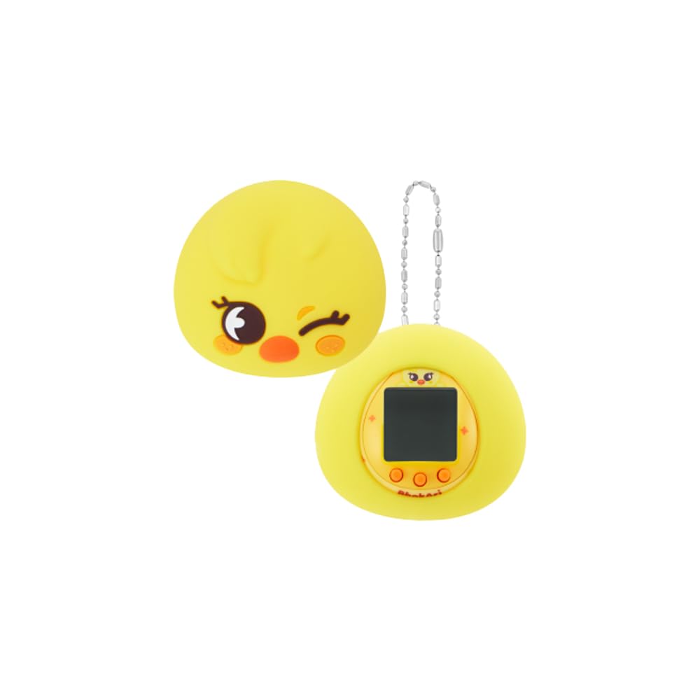 Amazon.com: (Official) SKZOO Digital Game Keyring & CASE Set