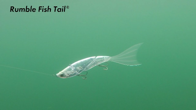 Amazon | エレメンツ ダヴィンチ ランブルフィッシュテール190 (#Gold