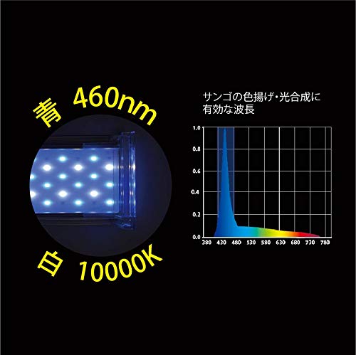 Amazon | ゼンスイ ナノ レビル(nano LeviL) 海水水槽用 ブルー