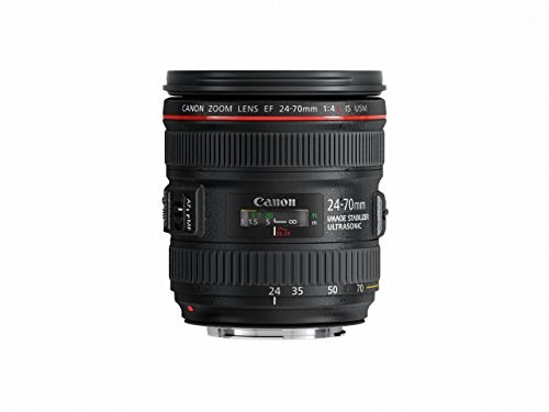 Amazon.com : Canon EF 24-70mm f/4.0L IS USM Standard Zoom Lens