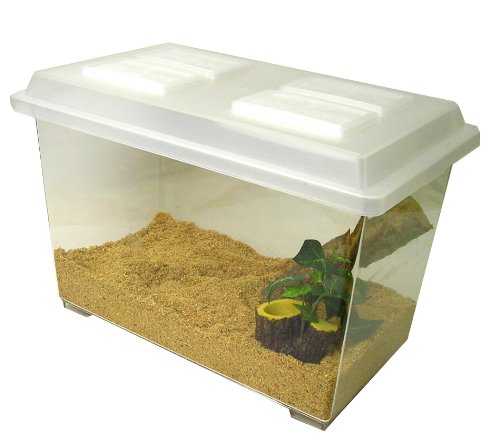 Amazon | シーラケース プラスチック 【コバエをシャットアウト