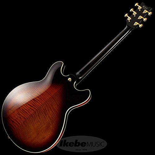 Amazon | Ibanez / JSM100 Vintage Sunburst (VT) John Scofield