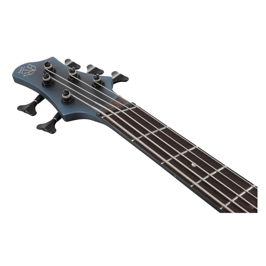 Amazon.com: Ibanez BTB605MS Bass Workshop 5-String Right-Handed