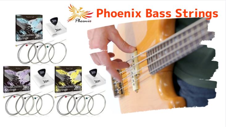 Amazon | Phoenix ベース弦 【ロングスケール／4弦】 ベース 弦