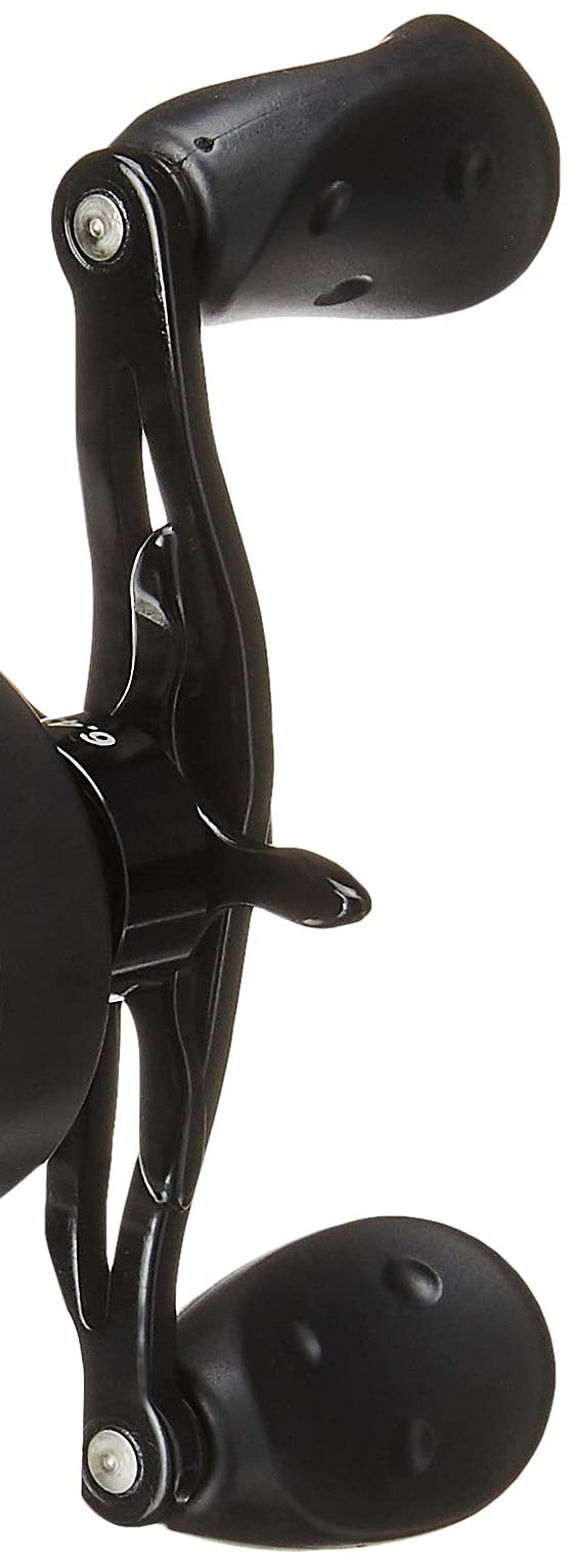 Amazon | アブガルシア(Abu Garcia) ベイトリール レボ ビースト