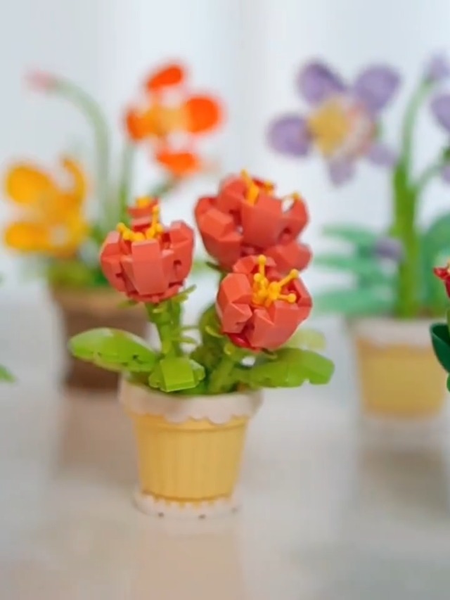 Amazon.com: Jollcnoia 12 Set Mini Flower Potted Plant Bonsai