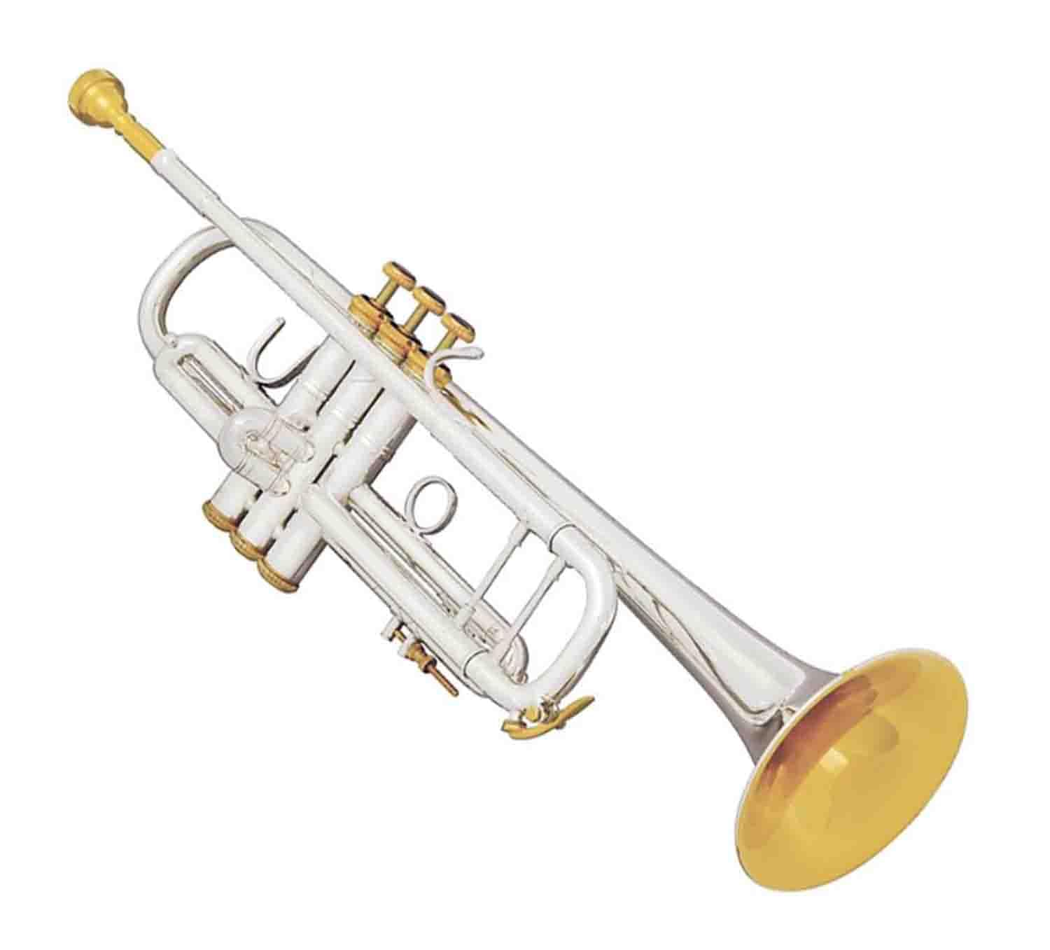Amazon.com: Bach Trumpet-Standard, Silver (180S37) : Everything Else