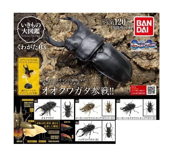 Amazon | いきもの大図鑑 くわがた03 [4種セット] オオクワガタ