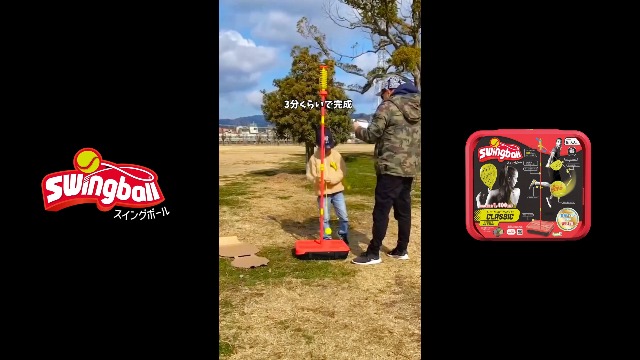 Amazon.co.jp: スイングボール(Swingball) イギリス発 どこでも遊べる