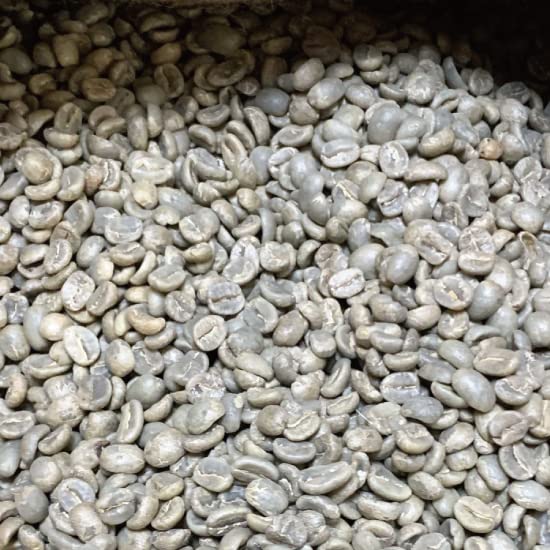 Amazon.co.jp: 松屋珈琲 コーヒー生豆 グアテマラ SHB (1kg袋