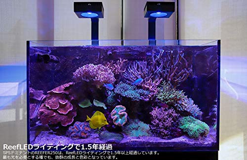 Amazon.co.jp: レッドシー リーフLED ReefLED90 ユニバーサルマウント