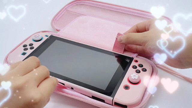 Amazon.com: BRHE Pink Travel Carrying Case Accessories Kit for