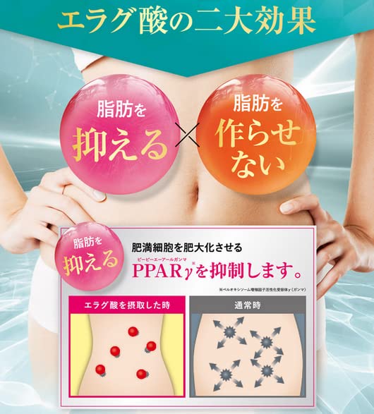 Amazon.co.jp: シボローカ サプリ 30粒入り : ドラッグストア