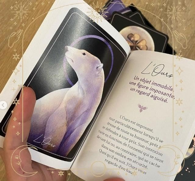 正規品ルノルマンカード】水墨画の超美麗デッキ✨カササギルノルマン