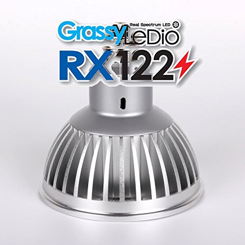 Amazon | ボルクスジャパン GrassyLeDio(グラッシーレディオ) RX122