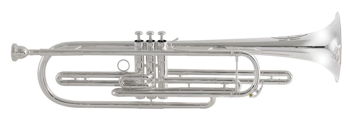 Amazon.co.jp: Behning & Sons アンサンブルを楽しく ピストン バス