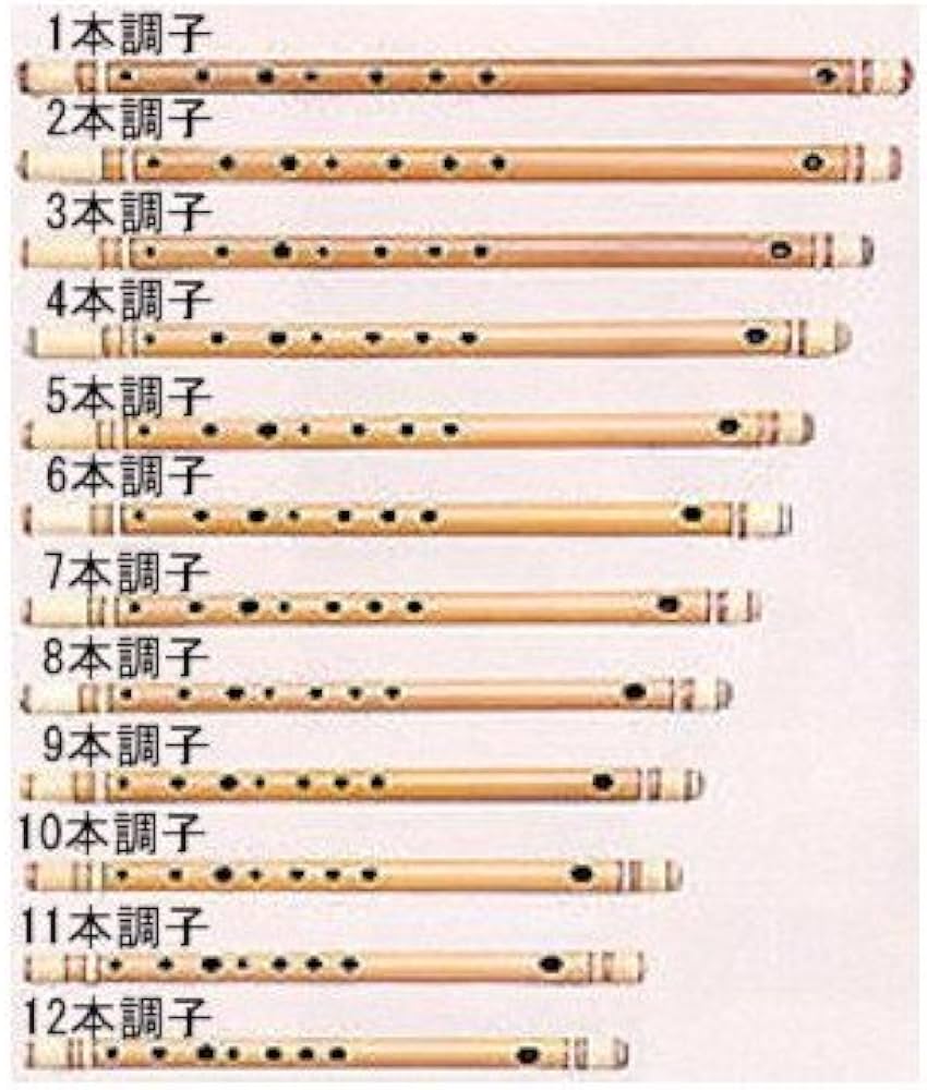 Amazon | 明鏡 篠笛 二本調子 正律管(ドレミ調) | 篠笛 | 楽器・音響機器