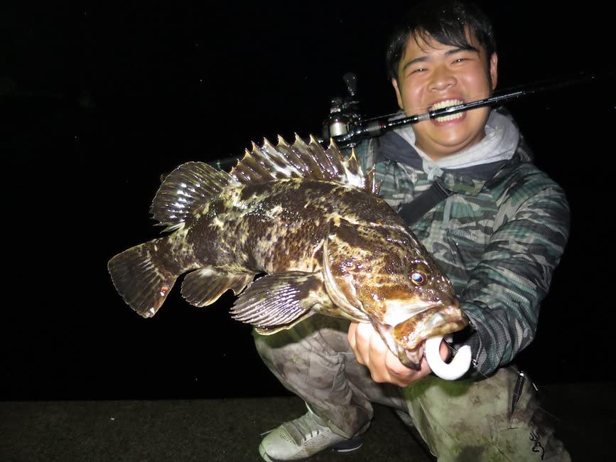 Amazon | TRANSCENDENCE トランスセンデンス レイトブルーミングス 510