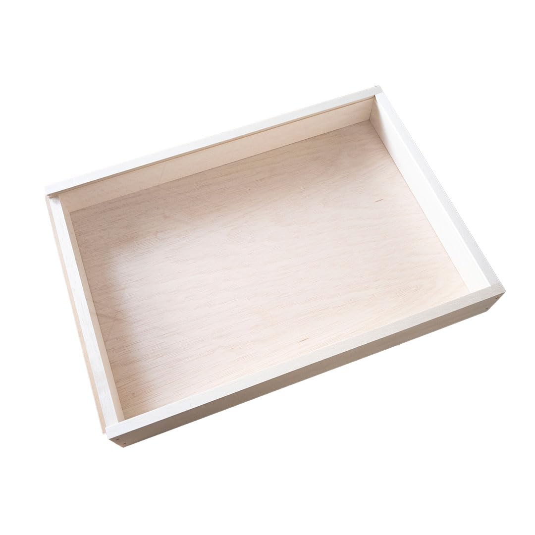 Amazon.co.jp: 完成品 標本箱大 木製 : おもちゃ