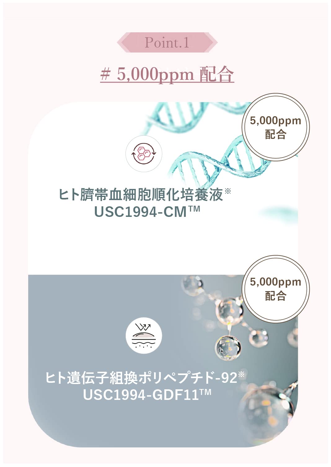 Amazon.co.jp: 臍帯血幹細胞培養液＜5,000ppm＞＋エクソソーム ホーム