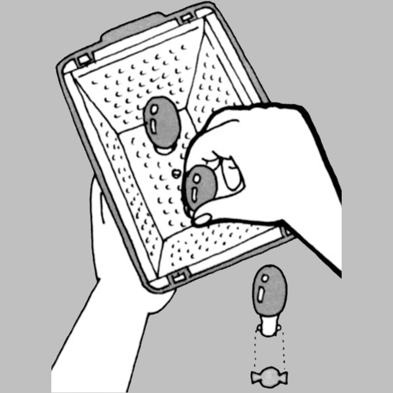 Amazon.co.jp: 【理想科学】 プリントゴッコランプ（10個入） : おもちゃ