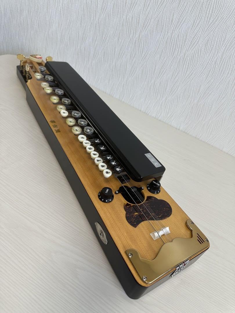 割引 Elctric大正琴 SUZUKI 電気大正琴】 TES-100 Suzuki TES-100