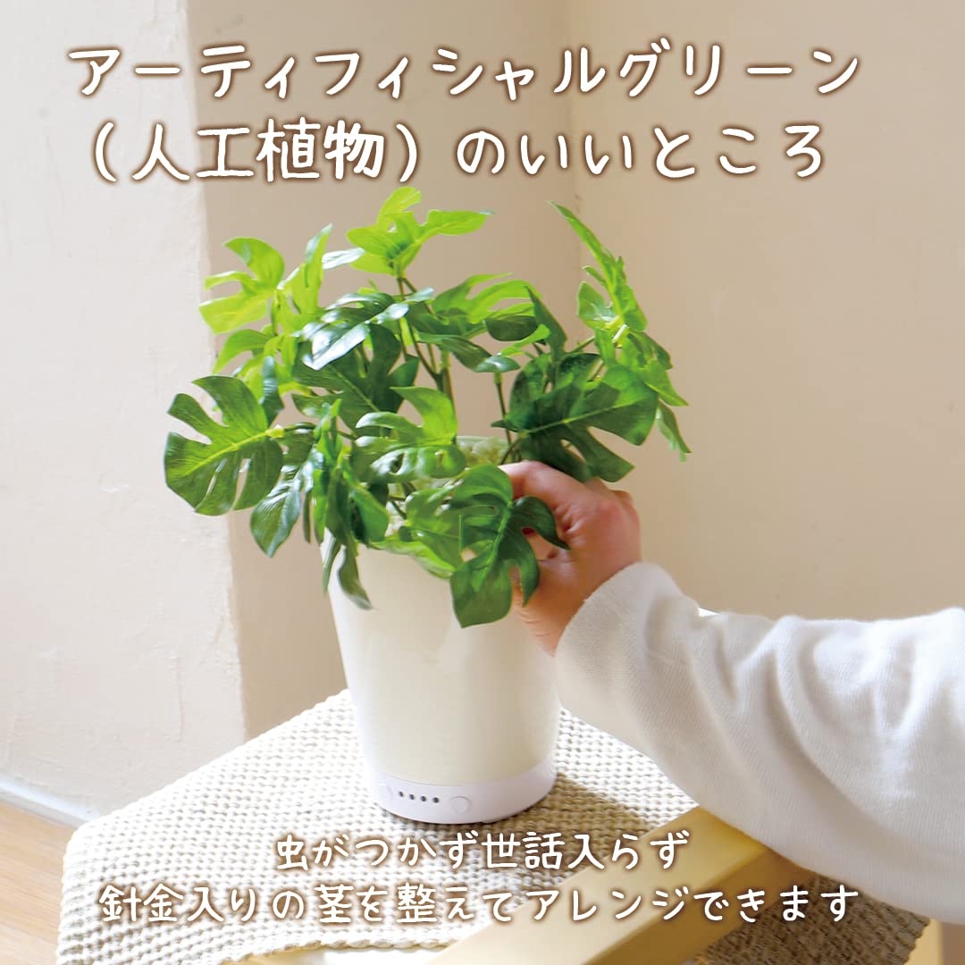 Amazon｜グリーンアロマミスト ポトス 超音波式加湿器 GREEN AROMA