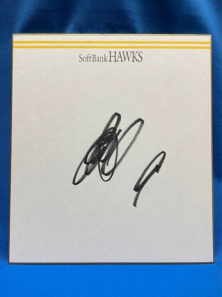 バレーボール 柳田選手サイン バレーボール 柳田選手サイン