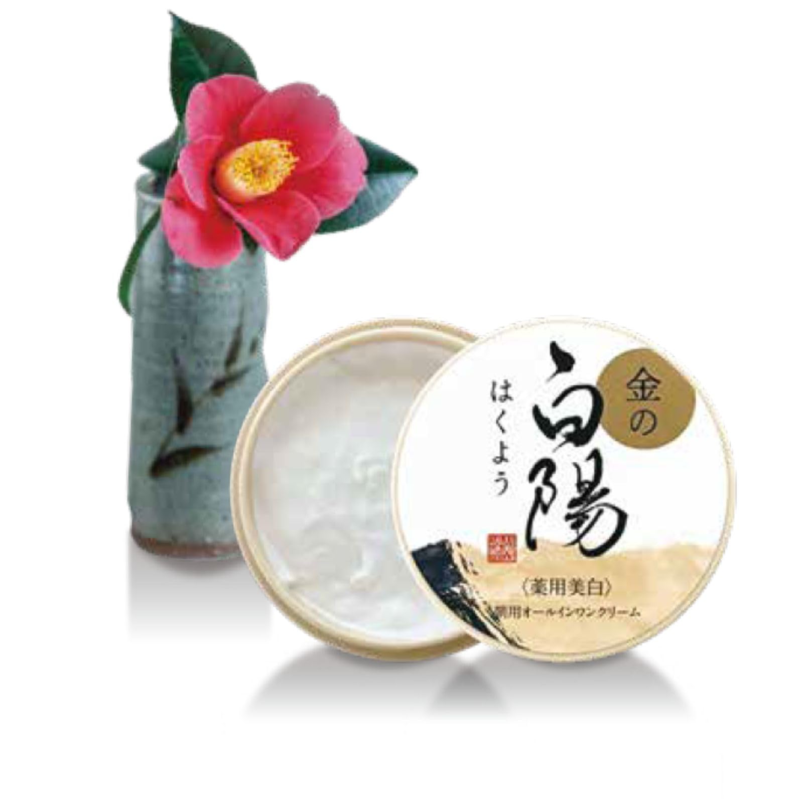 Amazon | オールインワンクリーム 【医薬部外品】 薬用美白 新大和漢方